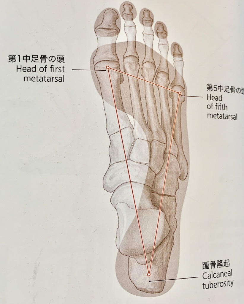03wtF7MhTiy5SDz8PeWJsA_thumb_f77.jpg