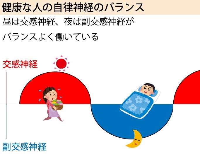 自律神経