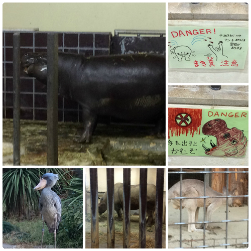 PicMonkey Collage2
