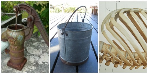 PicMonkey Collage2