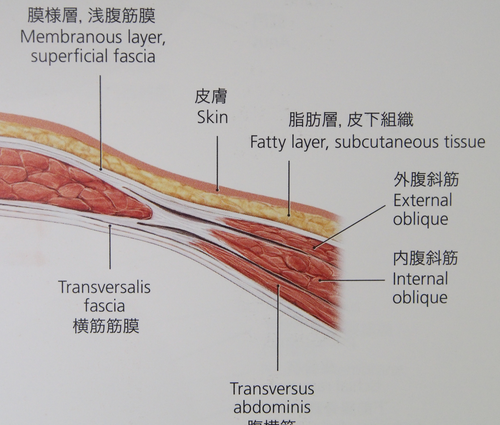 PC050027_1.png